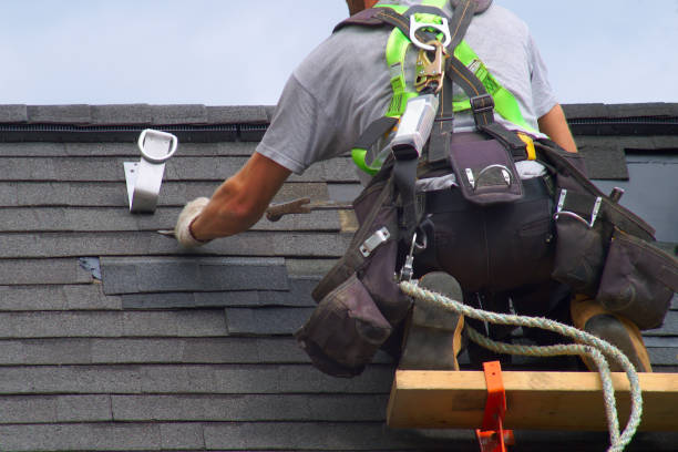 Roof Gutter Cleaning in Akron, NY